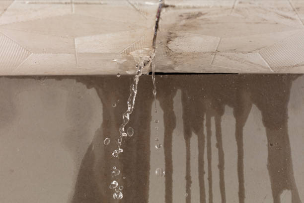 Professional Flood Damage Cleanup technician working in Pontiac, IL